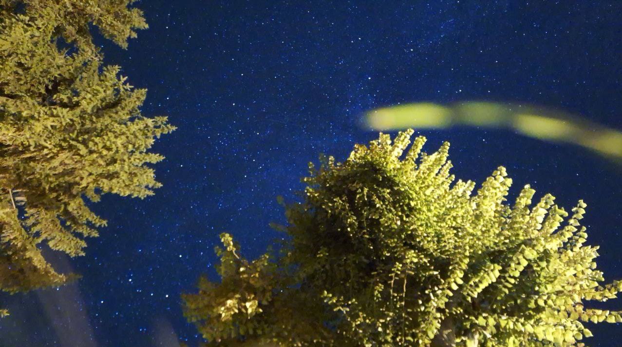 Зорепад у грудні: коли дивитися в небо