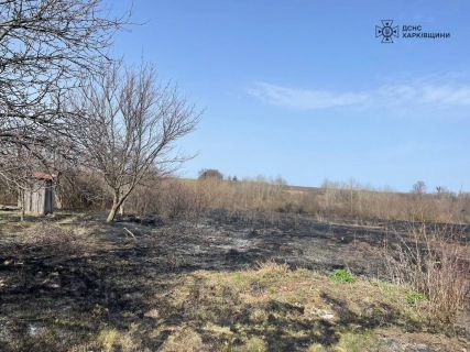 Богодухівський район: через випалювання сухої трави загинула жінка