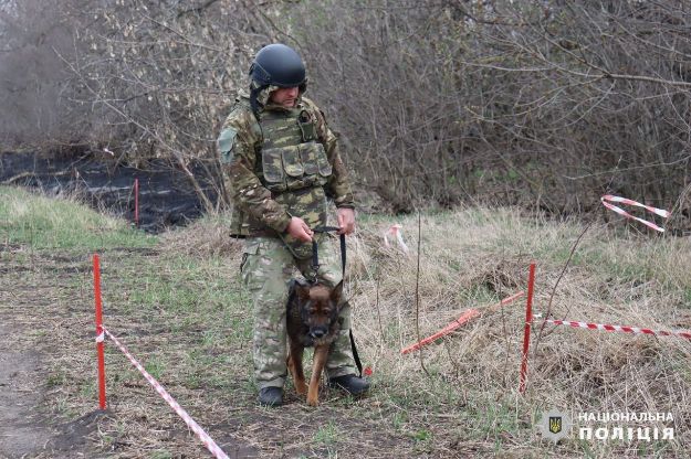 Розміновувати Харківщину допомагають поліцейські собаки