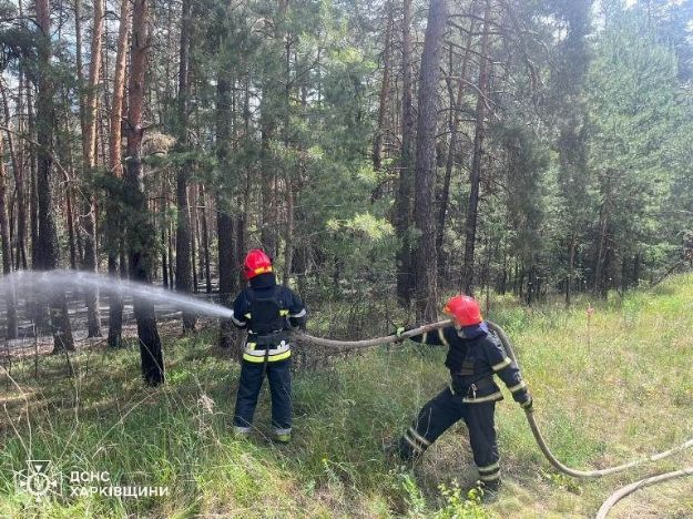 На Харківщині тривають масштабні лісові пожежі