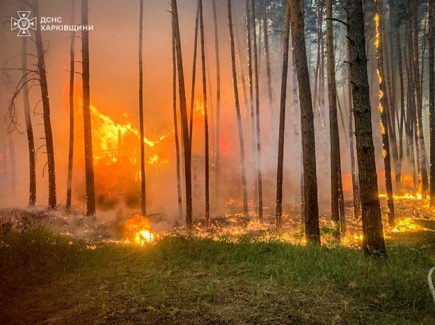 На Харківщині палають ліси