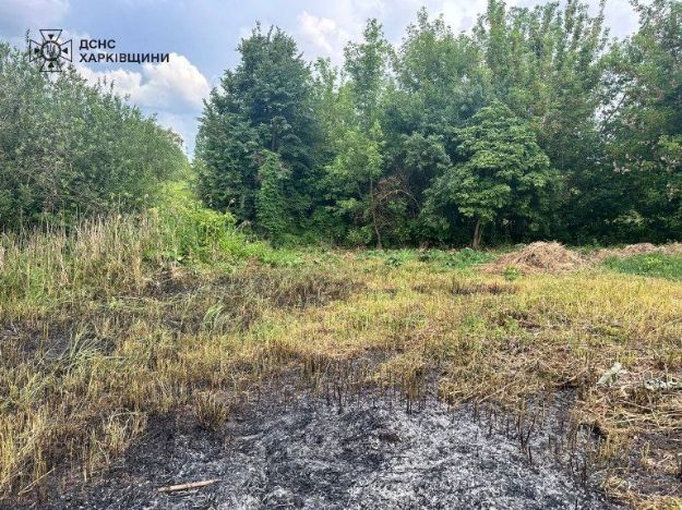 На Богодухівщині через випалювання сухостою загинула жінка