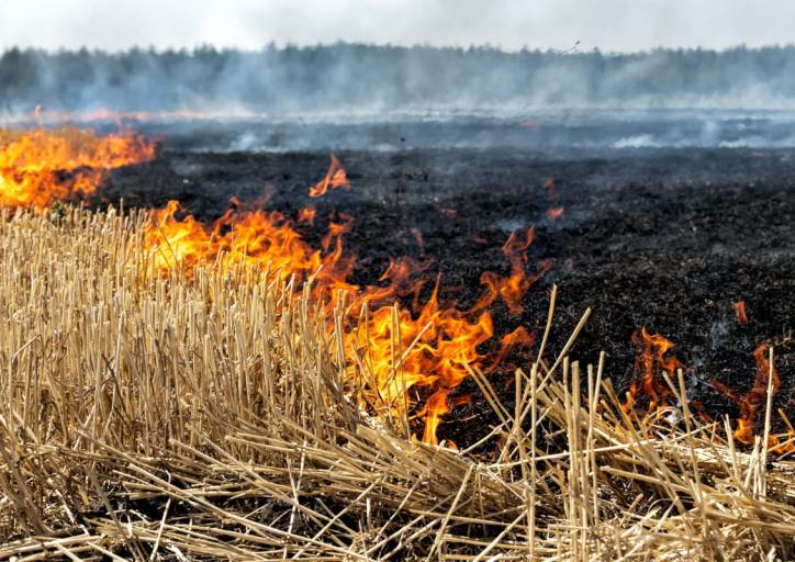 За тиждень через російські обстріли виникло пʼять пожеж на хлібних полях Харківщини