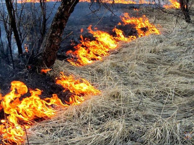 На Богодухівщині чоловік мало не загинув через випалювання трави (фото)