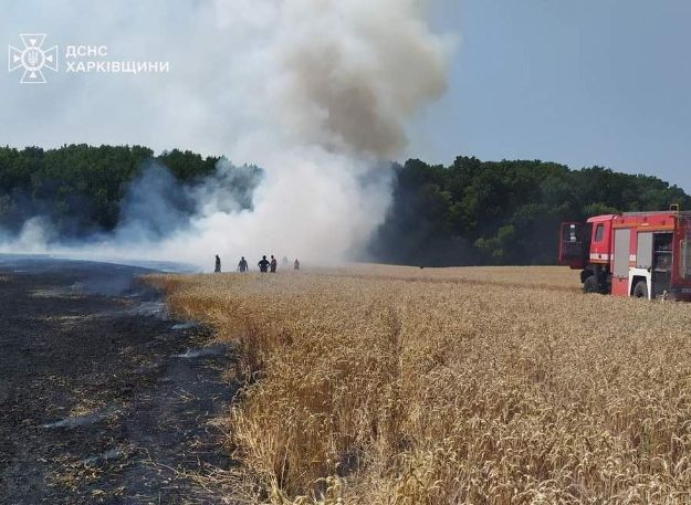 Під час пожежі на Богодухівщині врятували близько 10 гектарів пшениці