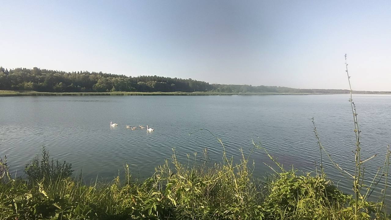 " Сіли птахи,білі птахи..." -  неймовірна краса в Забродах