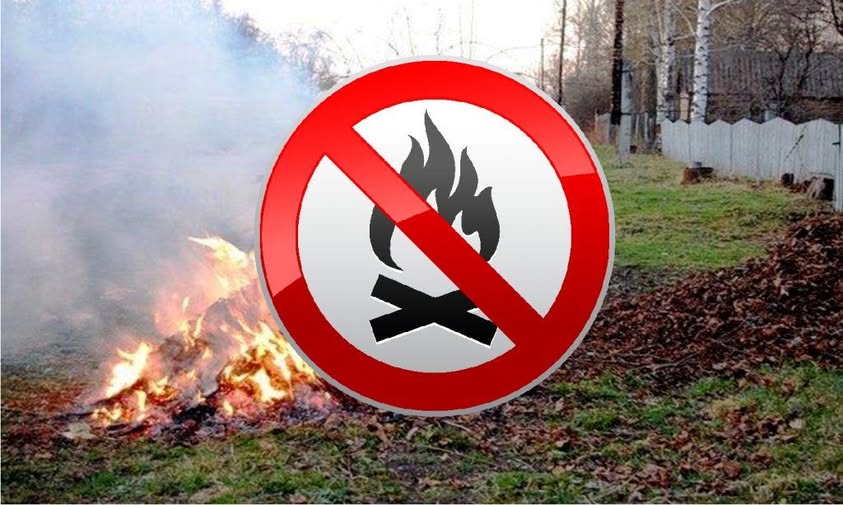 Не паліть листя — бережіть природу та здоров’я!