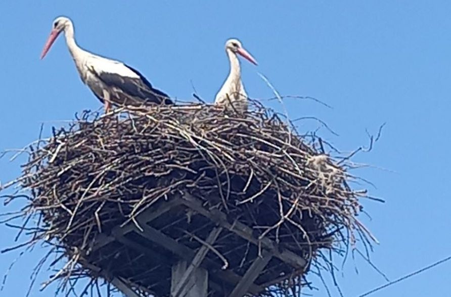 Знайомі і незнайомі місця рідного краю -  ЛОЗОВА