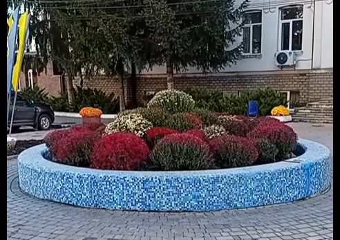 Фонтан із хризантем у Богодухові