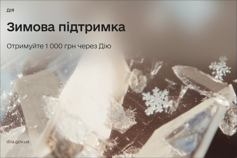 Отримуйте 1 000 грн від держави через Дію — запустили Зимову підтримку
