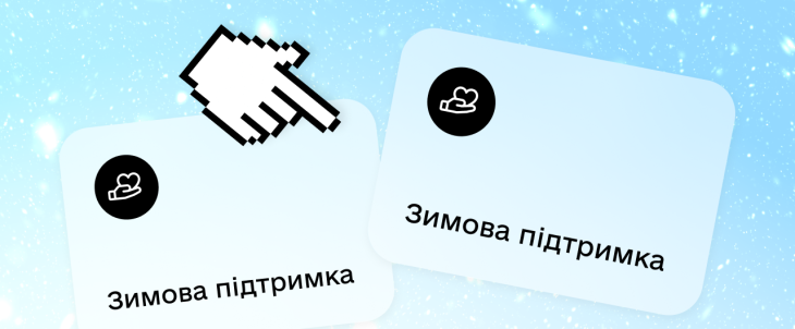 Зимова підтримка: куди підуть кошти?