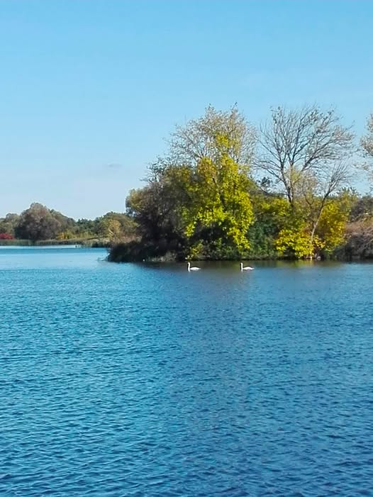 ЛЕСЬКІВКА. СЕЛО З МИЛОЗВУЧНОЮ НАЗВОЮ