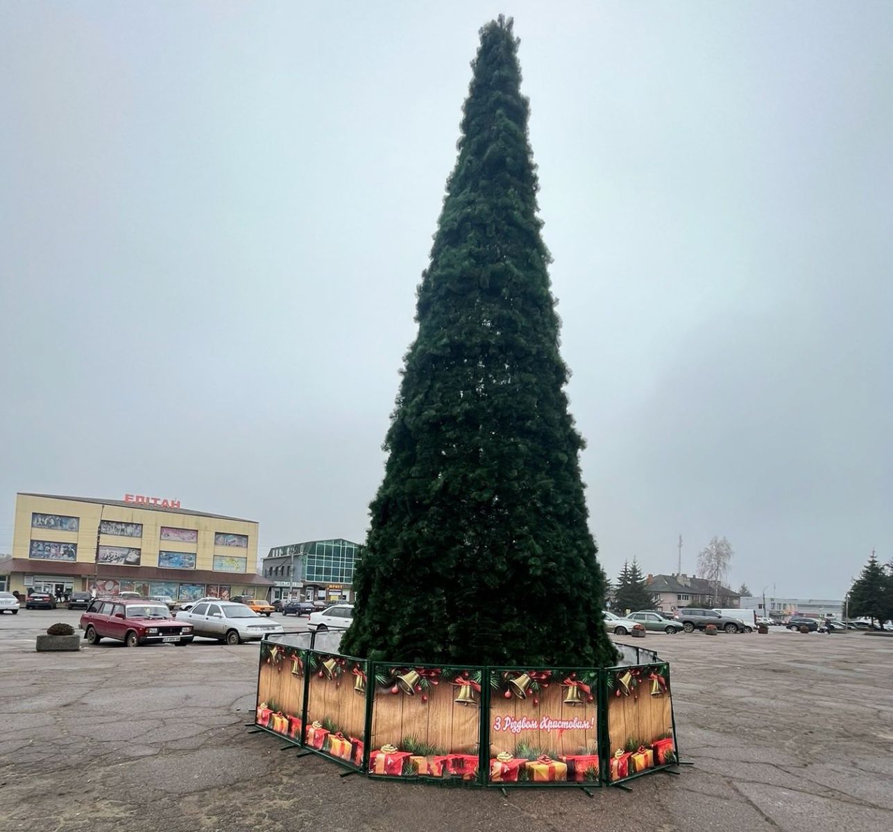 У центрі Богодухова з’явилася ялинка: місто чекає, коли вона засяє!