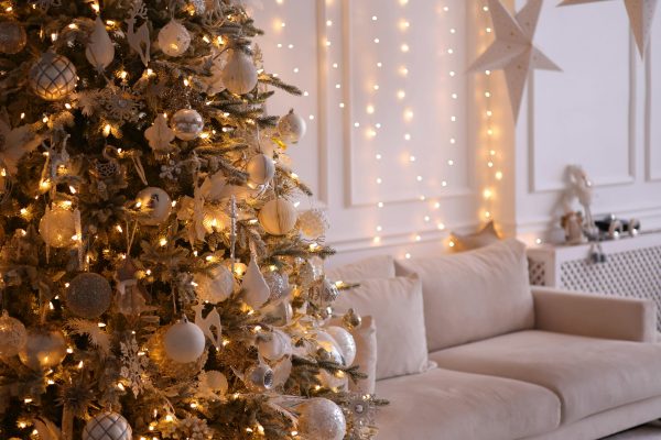 Підготовка до свят: які ціни прогнозують на оренду житла, продукти та ялинки