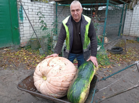 Гіганти з городу: земляк показав надурожай року