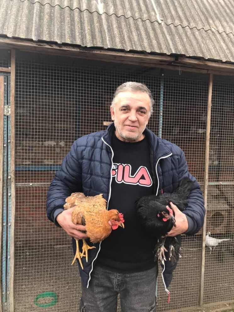 Від курника до прилавку: як росте ціна на яйця?