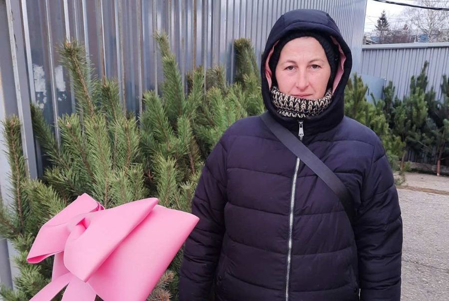 «Жива» чи штучна: які ялинки обирають богодухівці