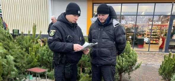 Поліція посилює заходи з протидії незаконній вирубці хвойних дерев напередодні новорічних свят
