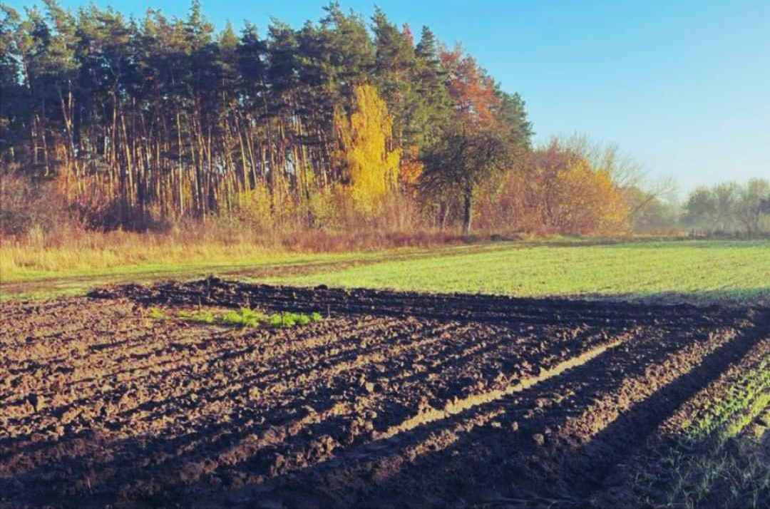 Лозівський поміщик – аграрій-новатор