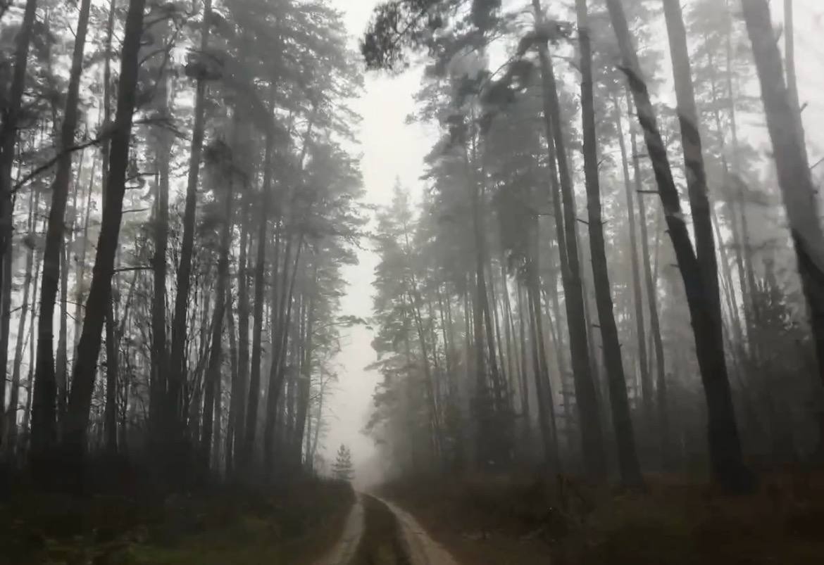 Народні зимові прикмети: як передбачити мороз, сніг і відлигу без прогнозів