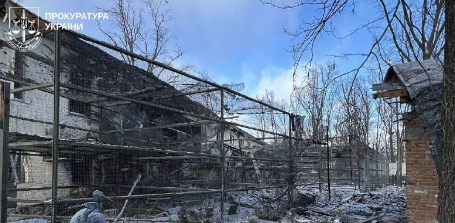 У Харківському екопарку загинули птахи та поранені хижаки внаслідок обстрілу — триває судовий розгляд