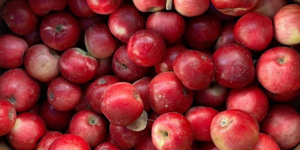 У 2026 році дешевих яблук в Україні не буде
