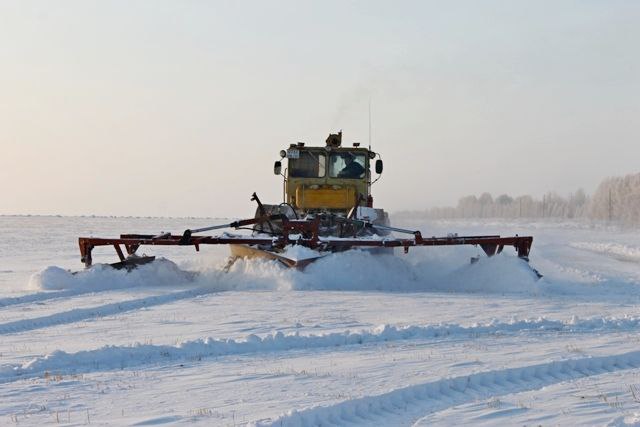 Як сніг і морози впливають на врожай в Україні