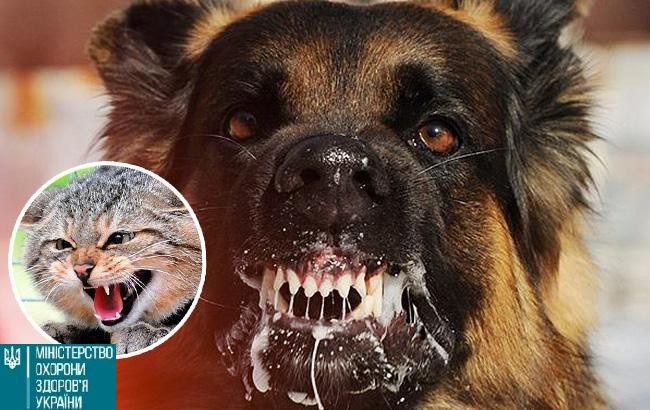 СКАЗ: ризики та профілактика — що потрібно знати мешканцям громади