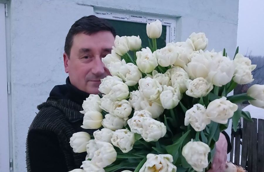 Тюльпани, що дарують радість, або Квіткова справа родини Сергієнків