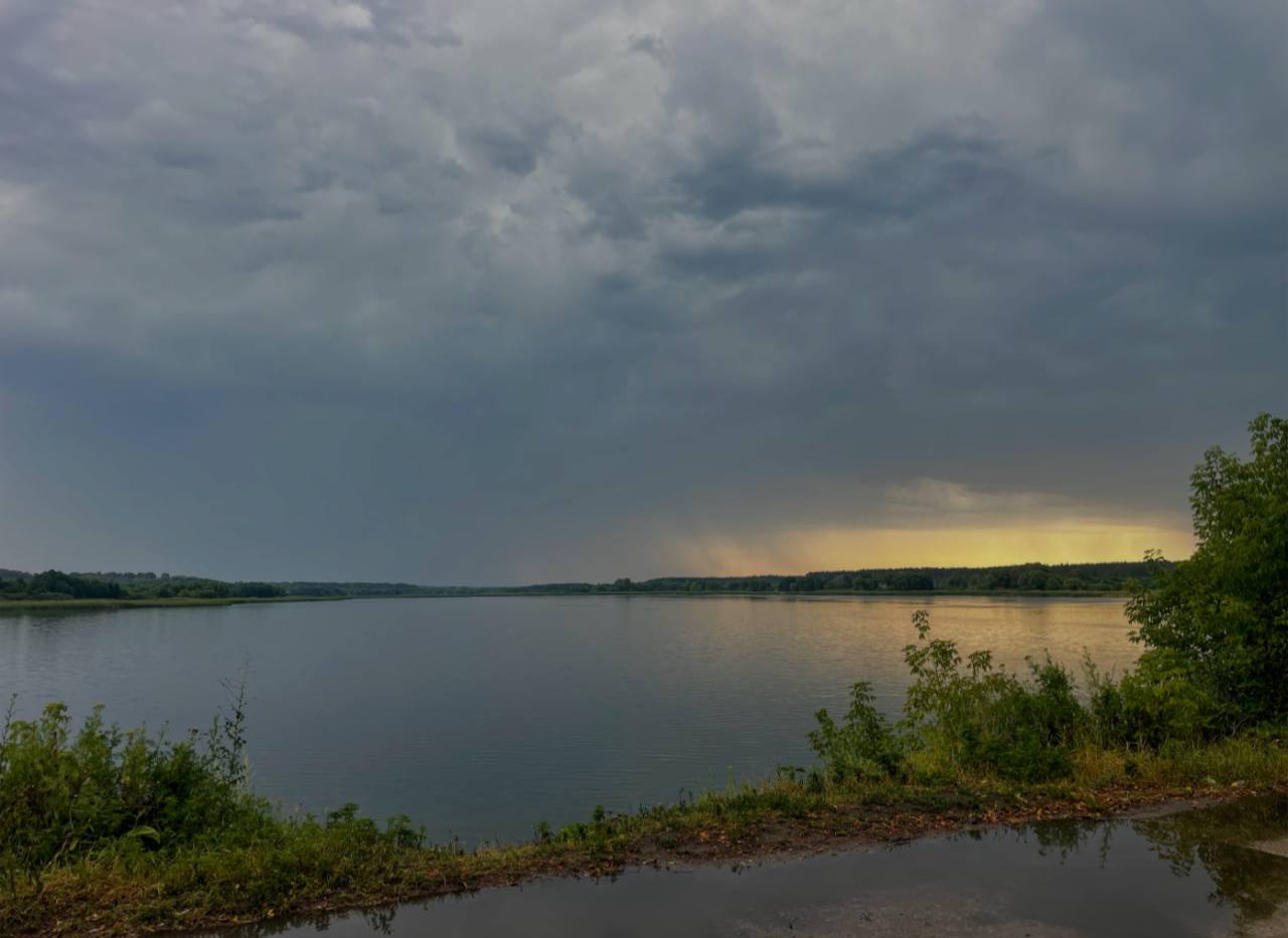 Грім на голі дерева: народні прикмети та значення