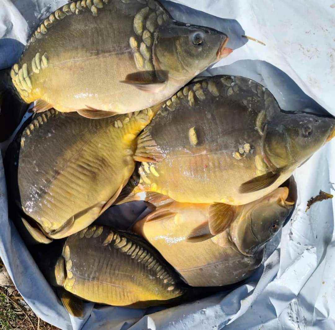 Інтерв’ю з рибалкою: як дотримуються нерестової заборони