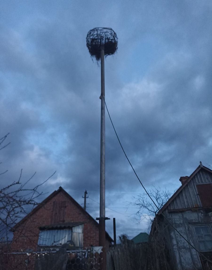 Лелеки не залишилися без дому: у Гутах вже встановили підпору для гнізда