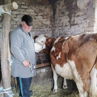 Що потрібно знати про весняну диспансеризацію