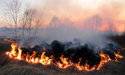 Пожежі через суху траву: енергетики попереджають жителів про небезпеку