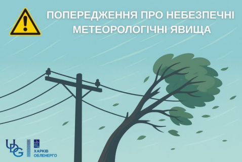 Негода на Харківщині: сильний вітер загрожує обривами проводів і падінням дерев