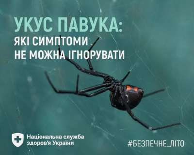 Укуси павуків в Україні: як розпізнати небезпечні симптоми та коли звертатися до лікаря