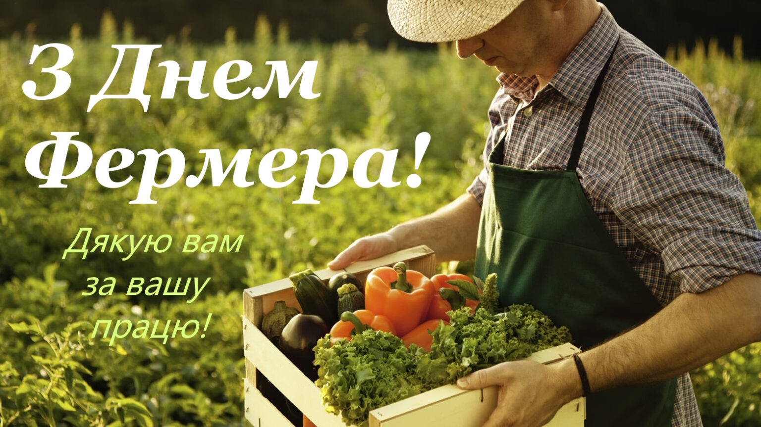 19 червня в Україні відзначають День фермера