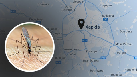 На Харківщині зафіксували перші випадки тропічної малярії у 2026 році: що потрібно знати жителям
