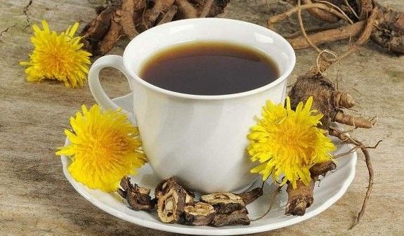 Із коріння кульбаби - цілюща кава. І не тільки