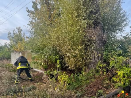 На Богодухівщині рятувальники загасили пожежу сухої рослинності